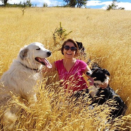 Cabana Patagonia Nativa Rural Βίλα Coyhaique Εξωτερικό φωτογραφία